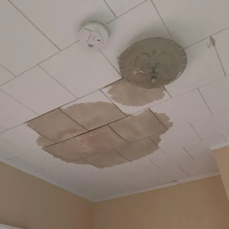 Ceiling Water Damage Repair in Garden County, NE
