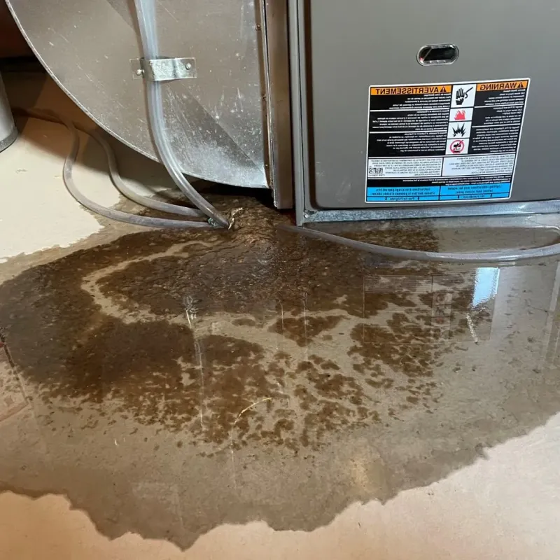 Pipe Burst and Leak Restoration in Garden County, NE